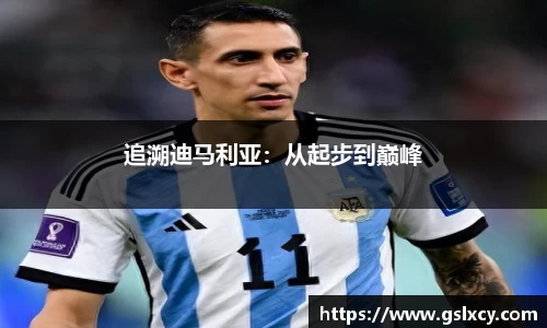 追溯迪马利亚：从起步到巅峰